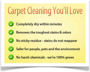 carpet cleaning services in Lexington Kentucky