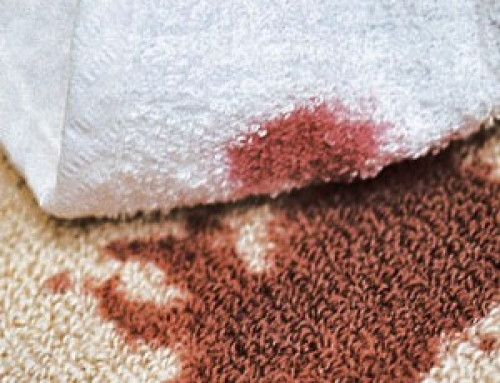 Blot Out Carpet Spills, Spots and Stains