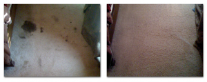 carpet cleaning services in Lexington Kentucky