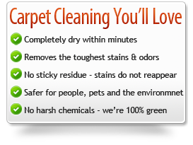 Dry Organic Carpet Cleaning